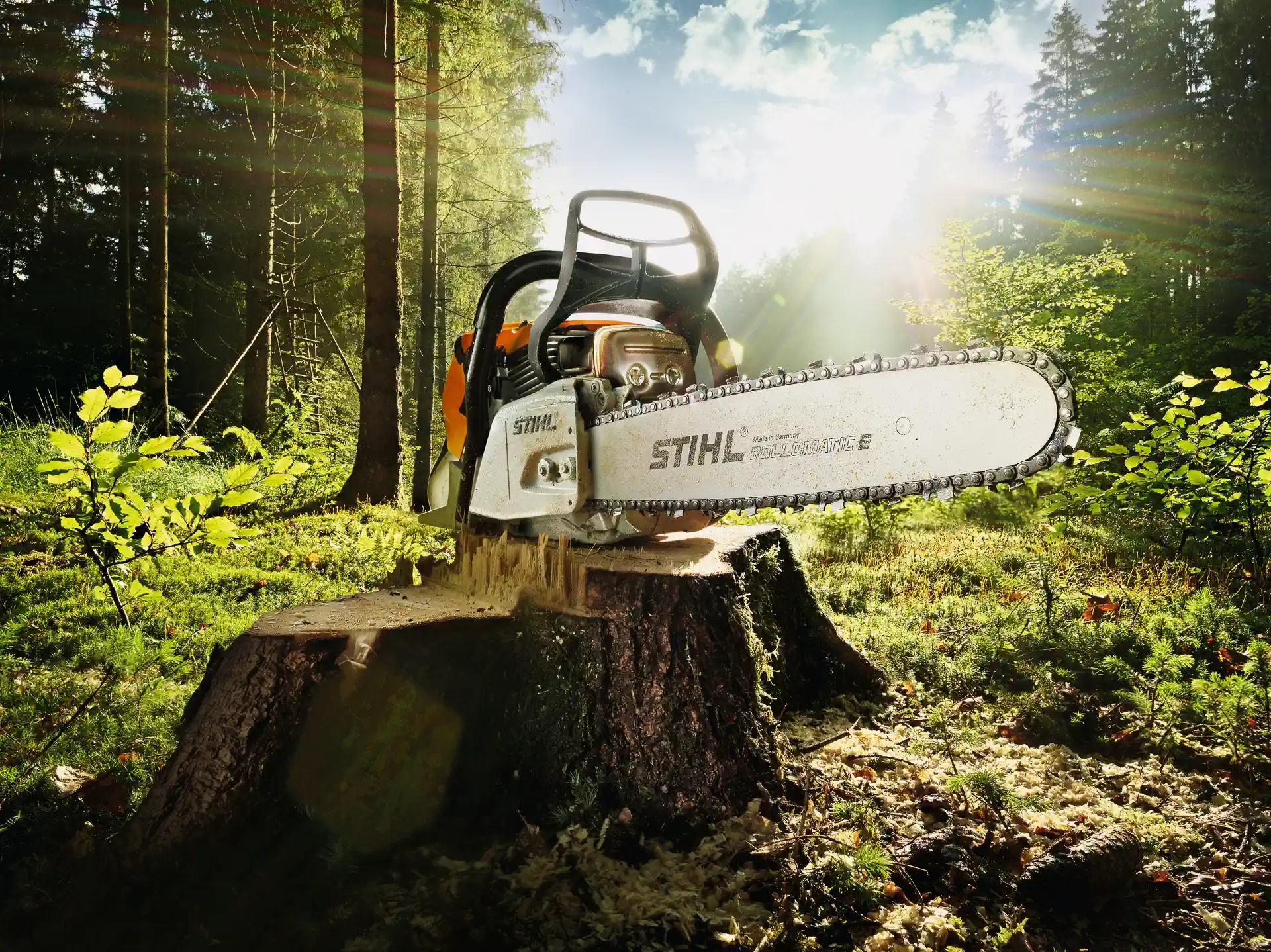 Jaka piła spalinowa Stihl? Najlepsze modele i porady dla kupujących