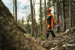STIHL ADVANCE FlexTEC – spodnie antyprzecięciowe, wzór C, klasa 1