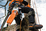 STIHL MS 201 TC-M – pilarka spalinowa, prowadnica 35 cm