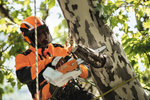 STIHL Hełm ADVANCE X-Climb