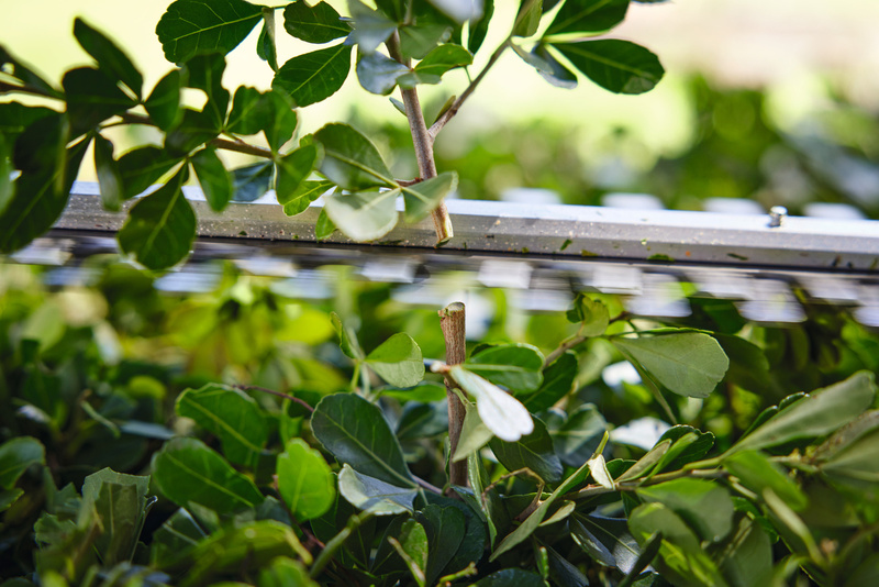 STIHL HSA 40 – nożyce akumulatorowe, Zestaw: 2× AS 2 + AL 1