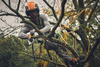 Stihl Przecinarka akumulatorowa GTA 40  [ 21,6 V] Prowadnica: 15 cm 1/4" 1,1 BEZ AKUMULATORA I ŁADOWARKI !!