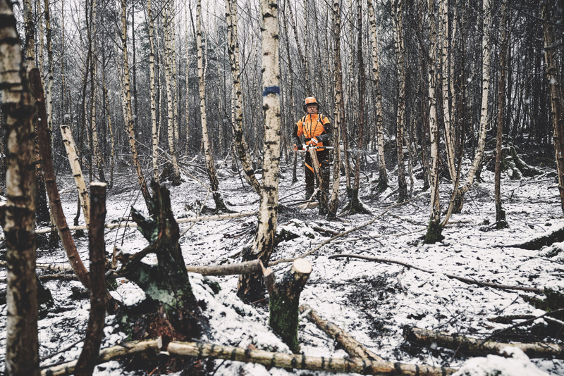 STIHL HTA 150 – podkrzesywarka akumulatorowa, 3/8" 30 cm, PM3 1,1 mm