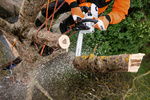 STIHL MS 201 TC-M – pilarka spalinowa, prowadnica 35 cm