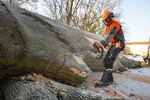 STIHL MS 661 C-M RS -  pilarka spalinowa 7,3 KM, prowadnica 71 cm