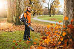 Stihl dmuchawa plecakowa BR 450 C-EF [Siła nadmuchu 28 N] [Maks. pręd. powietrza 99 m/s]