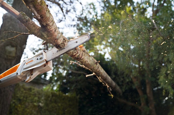 Stihl Podkrzesywarka akumulatorowa HTA 135 - wszechstronność zastosowań