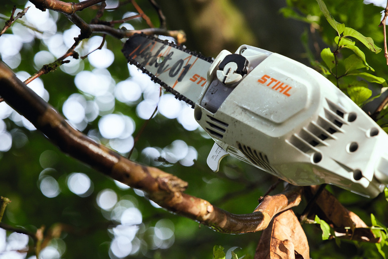 Stihl Podkrzesywarka akumulatorowa HTA 86 z systemem AP. Prowadnica: 30 cm 1/4” PM3 1,1