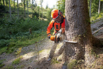 STIHL MS 362 RS – pilarka spalinowa 4,8 KM, prowadnica 40 cm