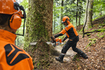 STIHL MS 881 RS – pilarka spalinowa 8,7 KM, prowadnica 90 cm