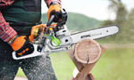 Stihl pilarka spalinowa MS 231 RS Pro [Moc 2,7 KM] Prowadnica: 35 cm 0.325” 1,3 L04