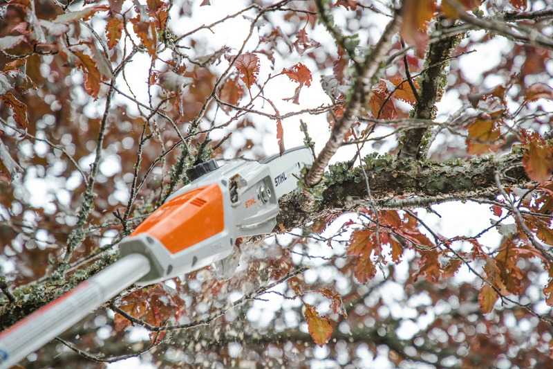 STIHL HTA 50 PM3 – podkrzesywarka akumulatorowa, prowadnica 25 cm, 1/4" 1,1 mm 