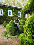STIHL HS 56 C-E – nożyce do żywopłotów, listwa 60 cm, 0,9 KM