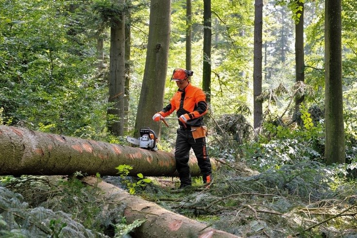 STIHL Kurtka robocza DYNAMIC